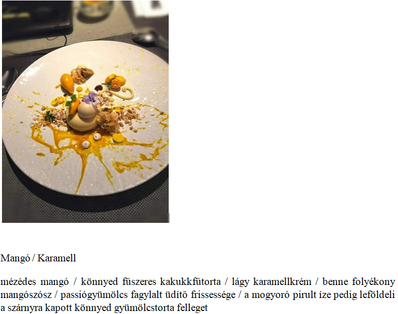 képernyőkép 2026 03 23 084622