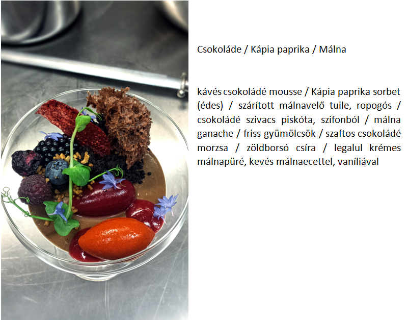 képernyőkép 2026 03 23 091618