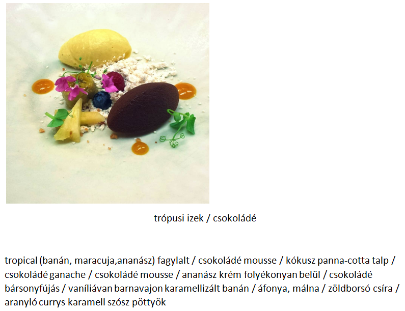 képernyőkép 2026 03 23 095134