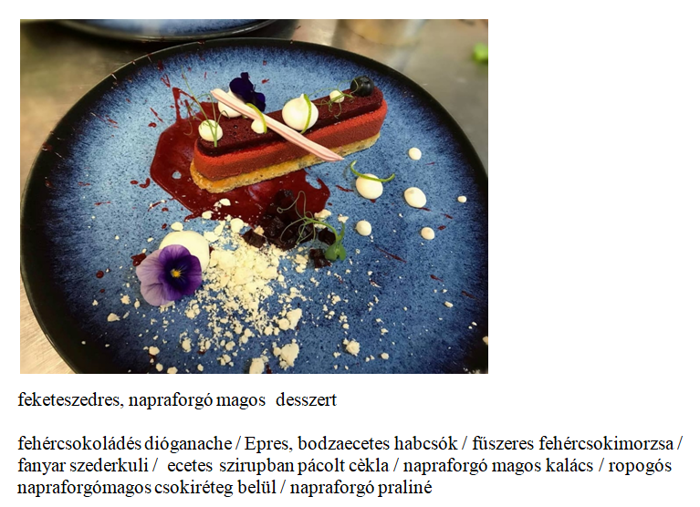 képernyőkép 2026 03 23 115806