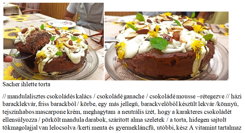 képernyőkép 2026 03 23 120305