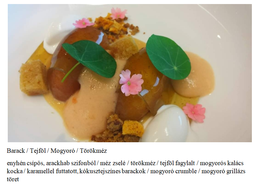 képernyőkép 2026 03 23 121943