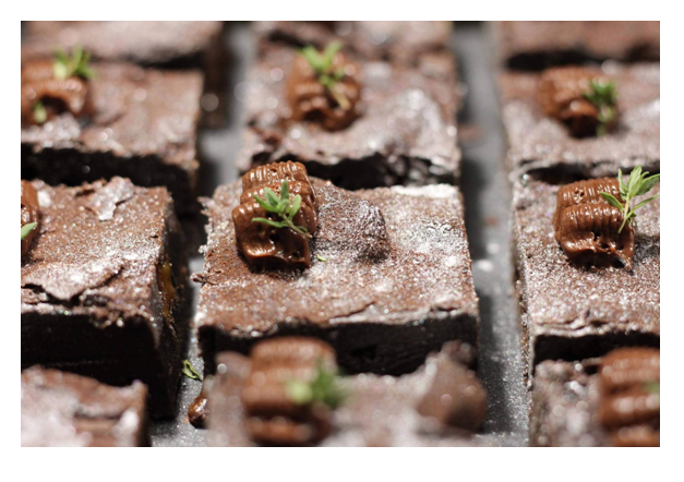 képernyőkép 2026 03 27 220734