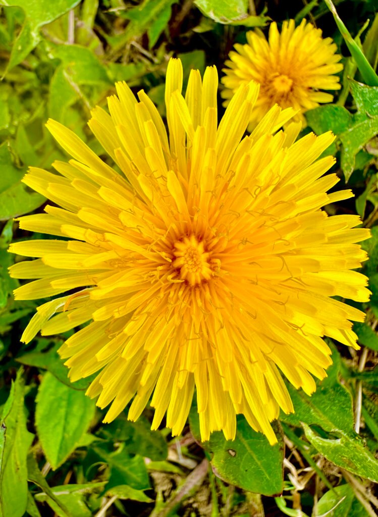 gtewqasasyx