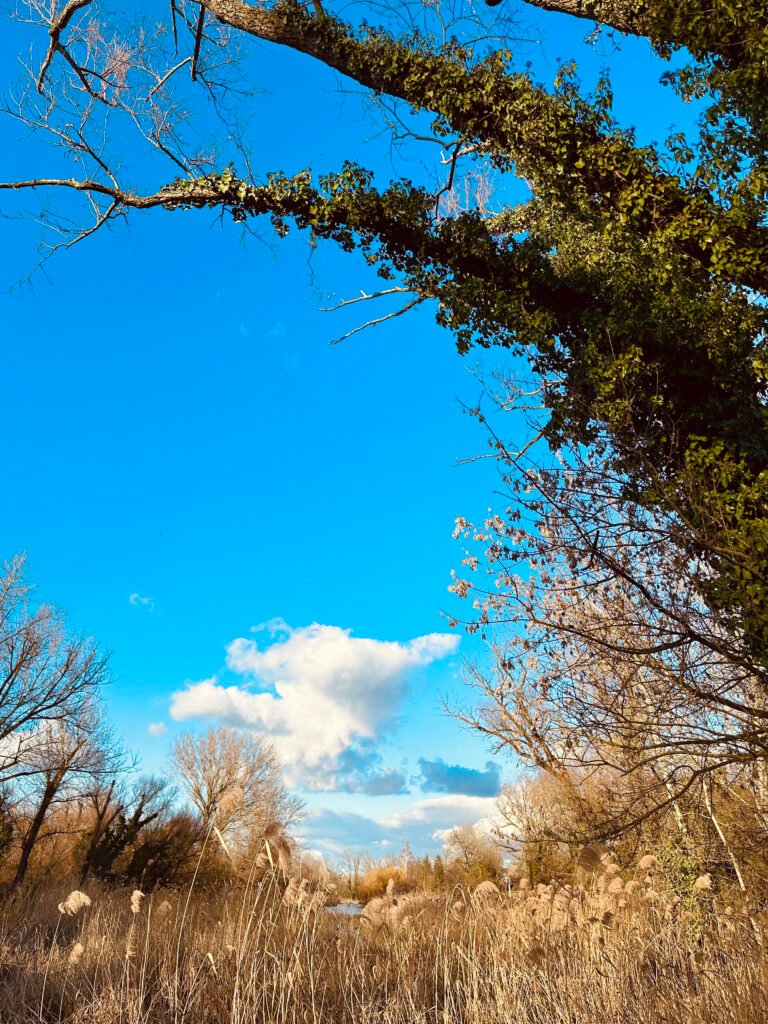 unnamedkohzi